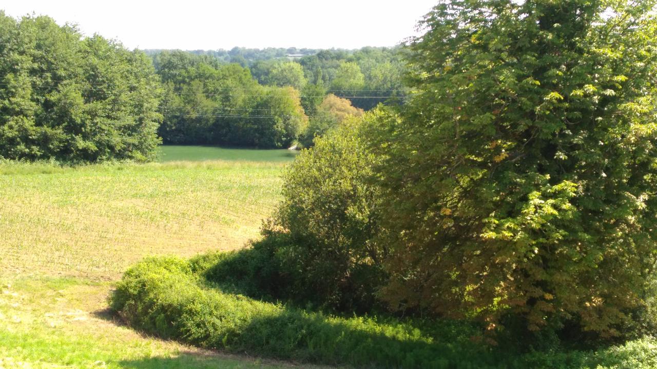 Sainte-Christie-d'Armagnac Domaine Du Have Bed & Breakfast エクステリア 写真