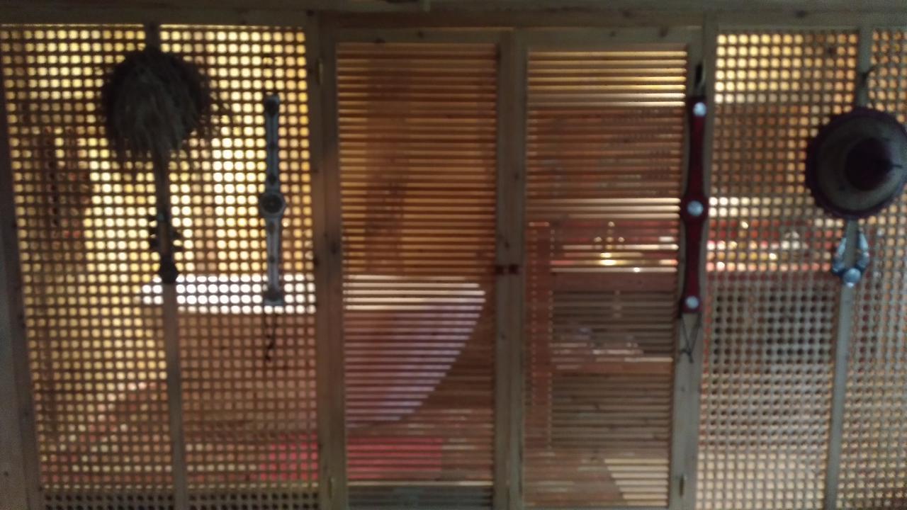 Sainte-Christie-d'Armagnac Domaine Du Have Bed & Breakfast エクステリア 写真